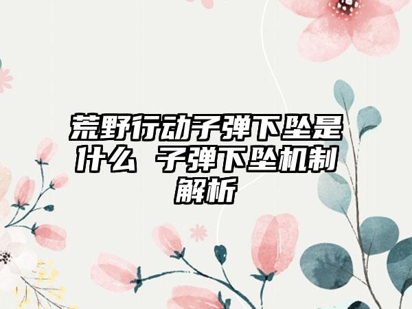 荒野行动子弹下坠是什么 子弹下坠机制解析