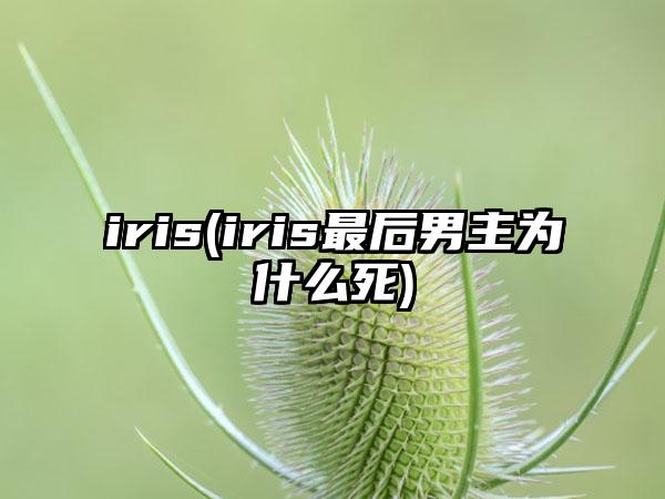 iris(iris最后男主为什么死)
