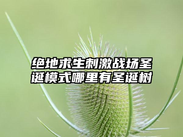 绝地求生刺激战场圣诞模式哪里有圣诞树