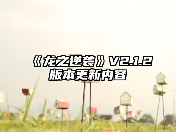 《龙之逆袭》V2.1.2版本更新内容