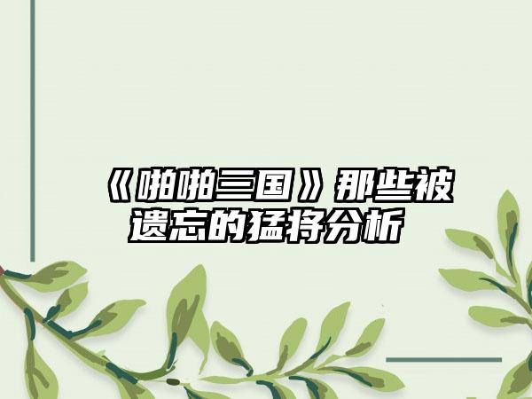 《啪啪三国》那些被遗忘的猛将分析