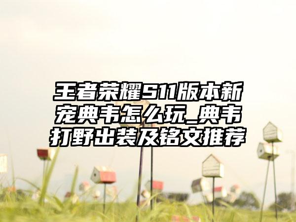 王者荣耀S11版本新宠典韦怎么玩_典韦打野出装及铭文推荐