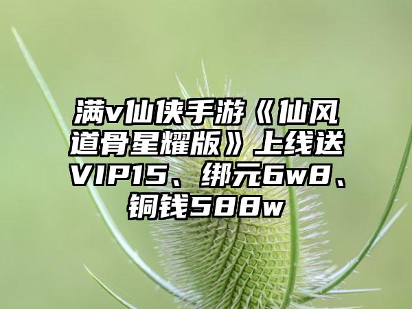 满v仙侠手游《仙风道骨星耀版》上线送VIP15、绑元6w8、铜钱588w