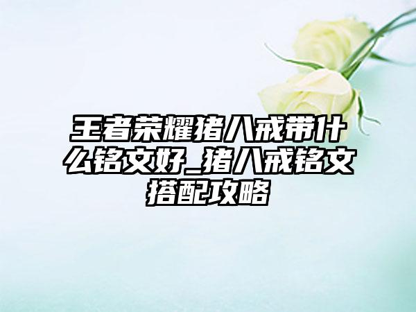 王者荣耀猪八戒带什么铭文好_猪八戒铭文搭配攻略