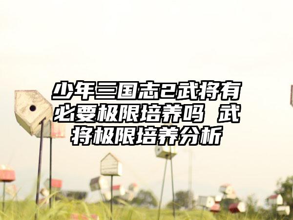 少年三国志2武将有必要极限培养吗 武将极限培养分析