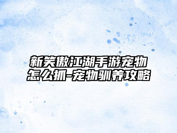 新笑傲江湖手游宠物怎么抓-宠物驯养攻略