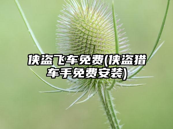 侠盗飞车免费(侠盗猎车手免费安装)