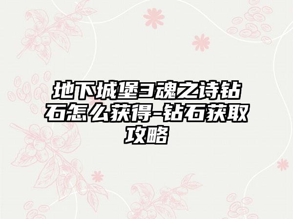 地下城堡3魂之诗钻石怎么获得-钻石获取攻略