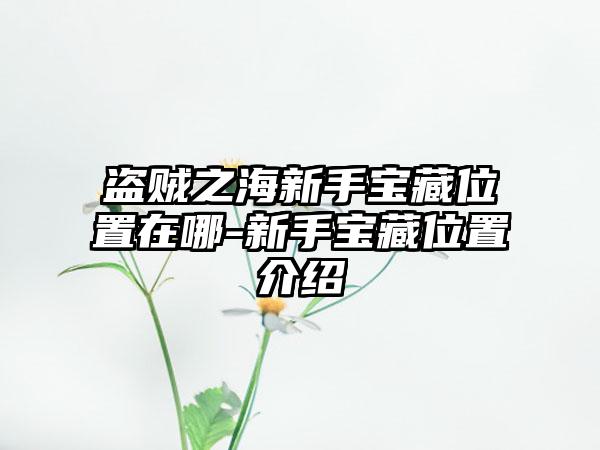 盗贼之海新手宝藏位置在哪-新手宝藏位置介绍