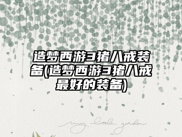 造梦西游3猪八戒装备(造梦西游3猪八戒最好的装备)