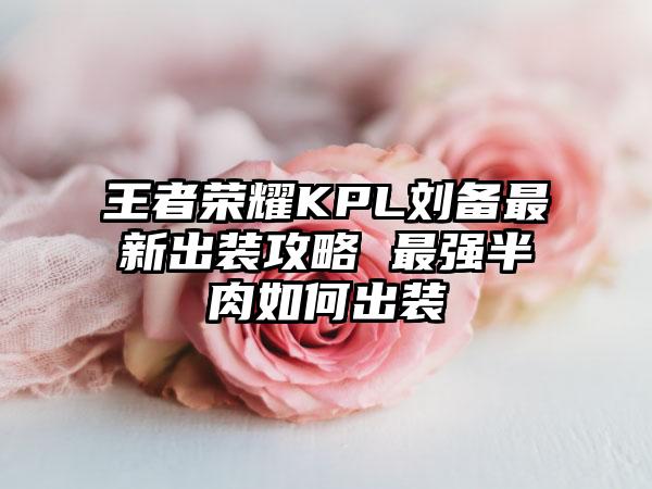王者荣耀KPL刘备最新出装攻略 最强半肉如何出装