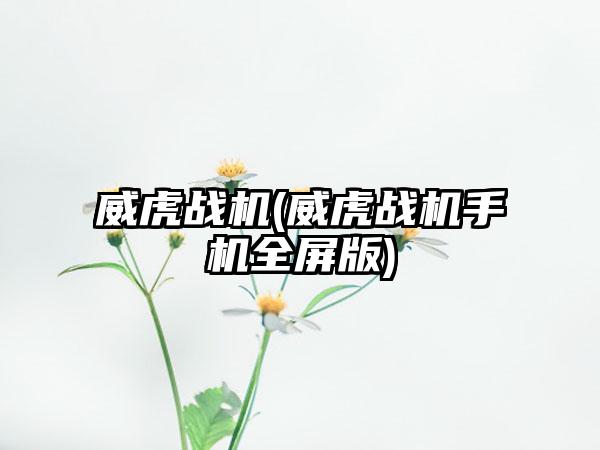 威虎战机(威虎战机手机全屏版)