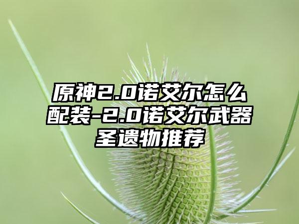 原神2.0诺艾尔怎么配装-2.0诺艾尔武器圣遗物推荐