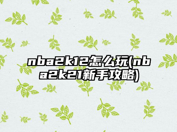 nba2k12怎么玩(nba2k21新手攻略)