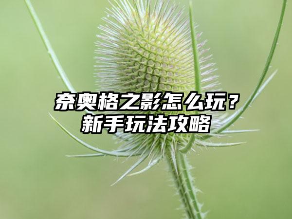 奈奥格之影怎么玩？新手玩法攻略