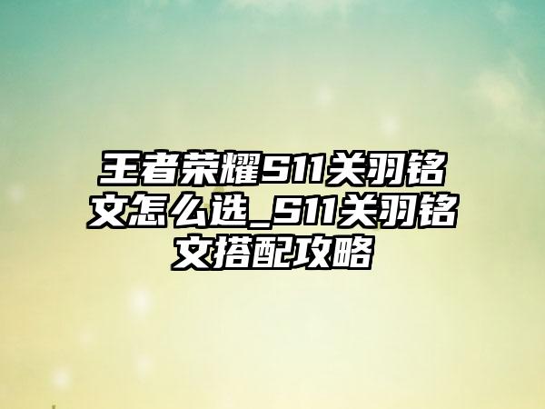 王者荣耀S11关羽铭文怎么选_S11关羽铭文搭配攻略
