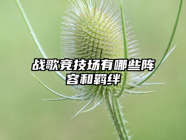 战歌竞技场有哪些阵容和羁绊
