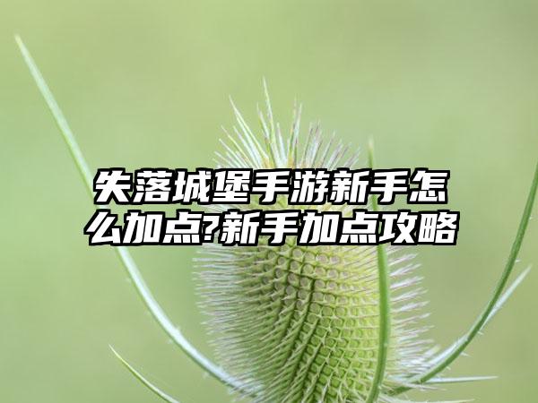 失落城堡手游新手怎么加点?新手加点攻略