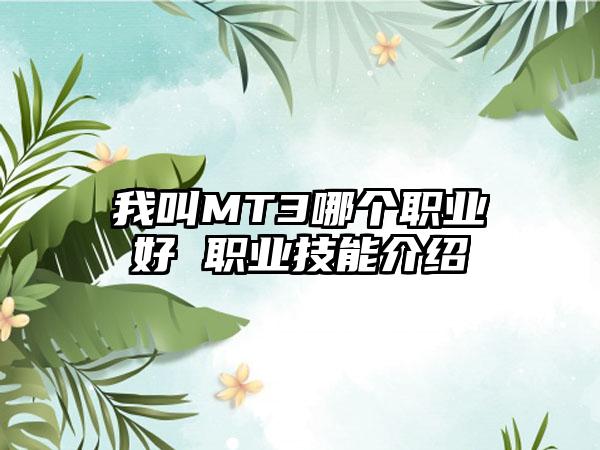 我叫MT3哪个职业好 职业技能介绍