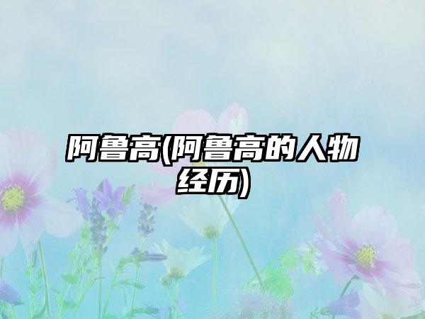 阿鲁高(阿鲁高的人物经历)