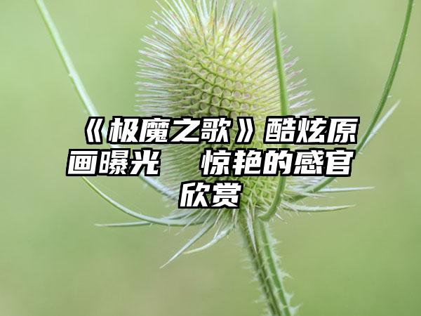 《极魔之歌》酷炫原画曝光  惊艳的感官欣赏