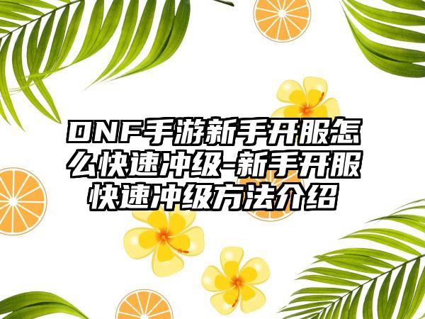 DNF手游新手开服怎么快速冲级-新手开服快速冲级方法介绍