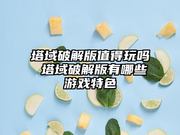塔域破解版值得玩吗 塔域破解版有哪些游戏特色