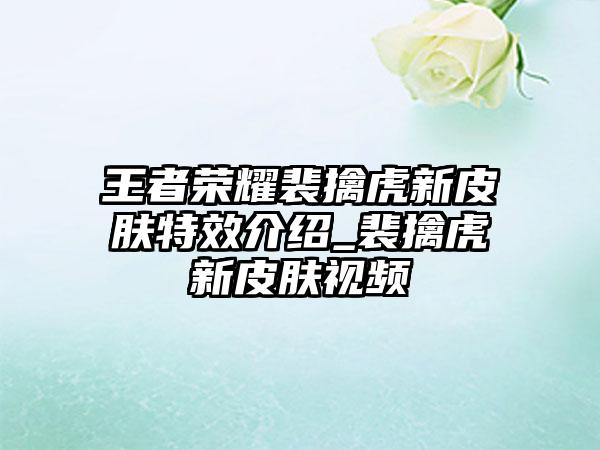 王者荣耀裴擒虎新皮肤特效介绍_裴擒虎新皮肤视频