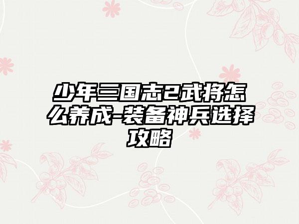 少年三国志2武将怎么养成-装备神兵选择攻略