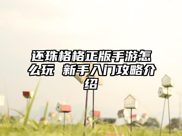 还珠格格正版手游怎么玩 新手入门攻略介绍
