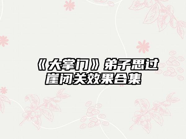 《大掌门》弟子思过崖闭关效果合集