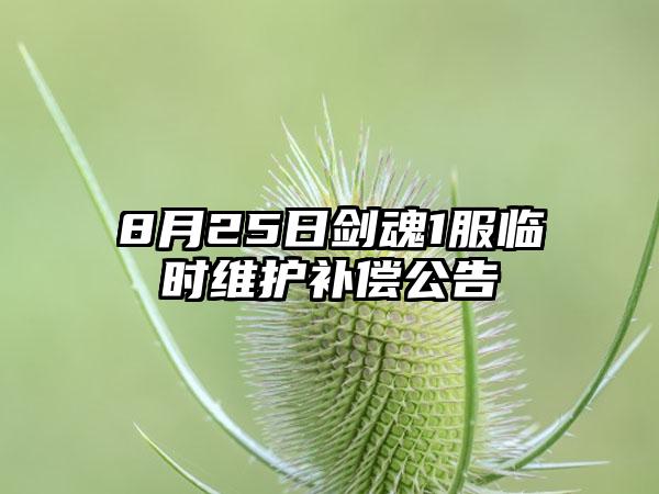 8月25日剑魂1服临时维护补偿公告