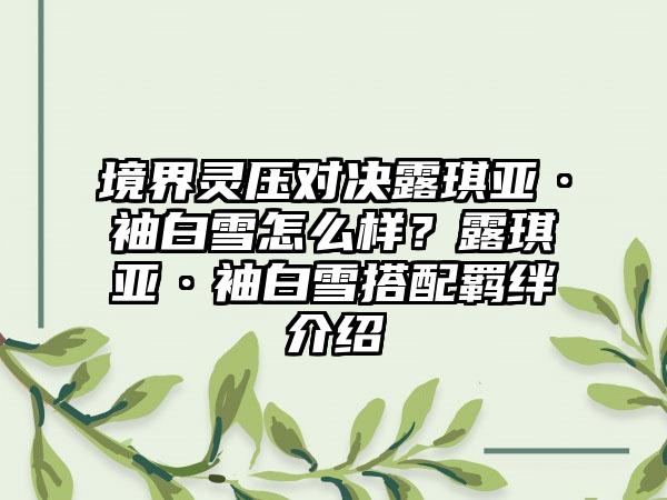 境界灵压对决露琪亚·袖白雪怎么样？露琪亚·袖白雪搭配羁绊介绍