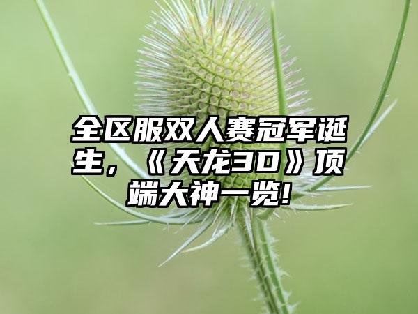 全区服双人赛冠军诞生，《天龙3D》顶端大神一览!