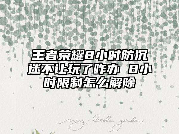 王者荣耀8小时防沉迷不让玩了咋办 8小时限制怎么解除