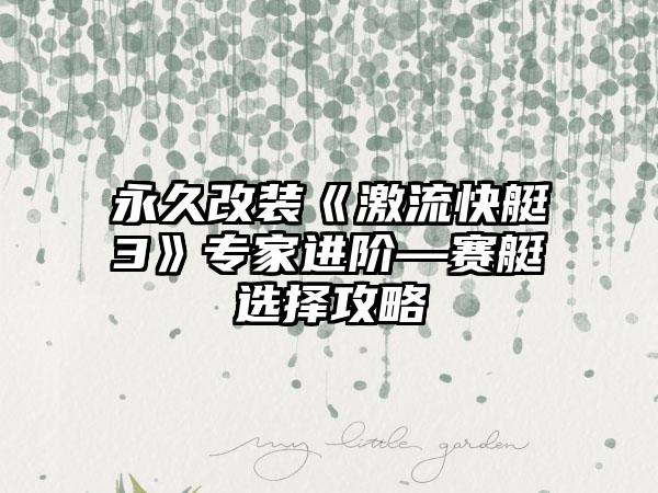 永久改装《激流快艇3》专家进阶—赛艇选择攻略