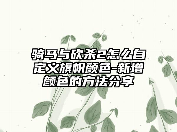 骑马与砍杀2怎么自定义旗帜颜色-新增颜色的方法分享