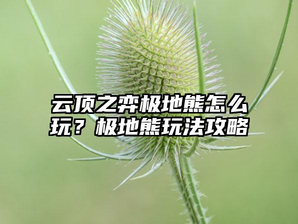 云顶之弈极地熊怎么玩？极地熊玩法攻略