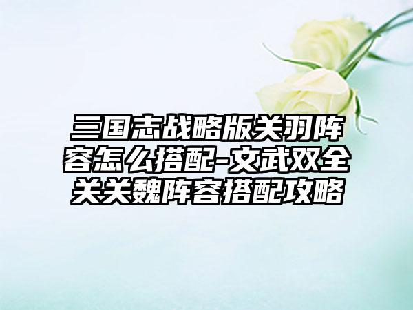 三国志战略版关羽阵容怎么搭配-文武双全关关魏阵容搭配攻略