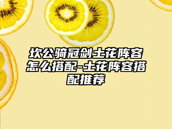 坎公骑冠剑土花阵容怎么搭配-土花阵容搭配推荐