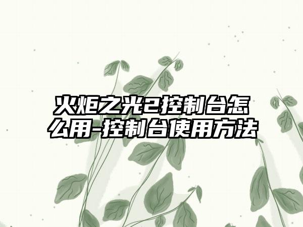 火炬之光2控制台怎么用-控制台使用方法