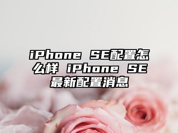 iPhone SE配置怎么样 iPhone SE最新配置消息