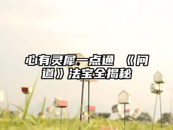 心有灵犀一点通 《问道》法宝全揭秘