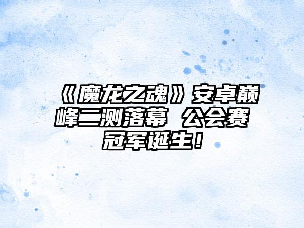《魔龙之魂》安卓巅峰二测落幕 公会赛冠军诞生！