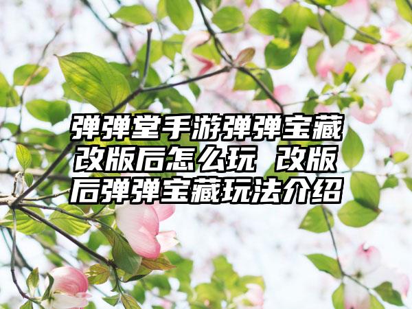 弹弹堂手游弹弹宝藏改版后怎么玩 改版后弹弹宝藏玩法介绍