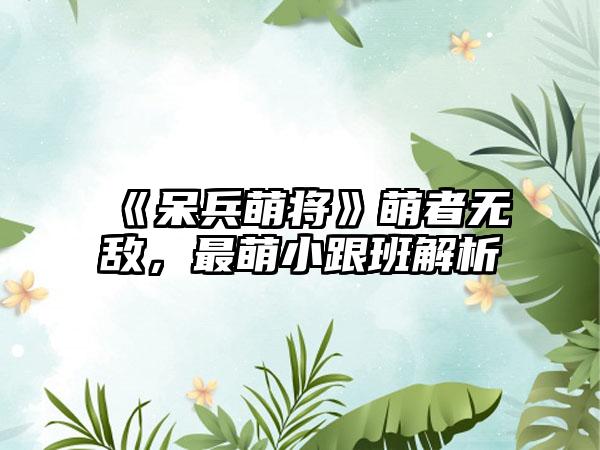 《呆兵萌将》萌者无敌，最萌小跟班解析