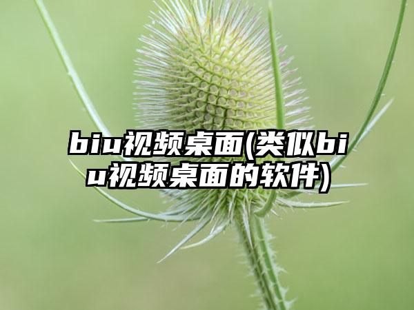 biu视频桌面(类似biu视频桌面的软件)