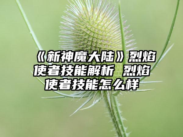 《新神魔大陆》烈焰使者技能解析 烈焰使者技能怎么样