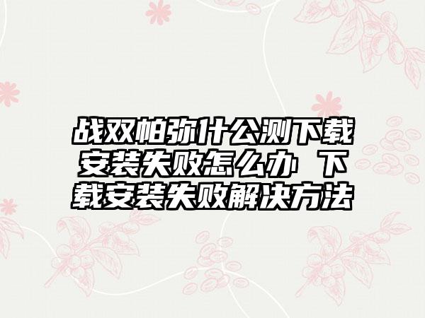 战双帕弥什公测下载安装失败怎么办 下载安装失败解决方法