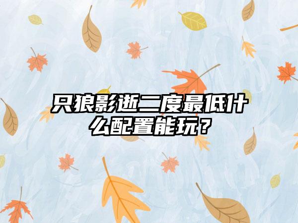 只狼影逝二度最低什么配置能玩？